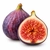 Fig fragrance note