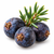 Juniper fragrance note