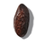 Tonka bean fragrance note